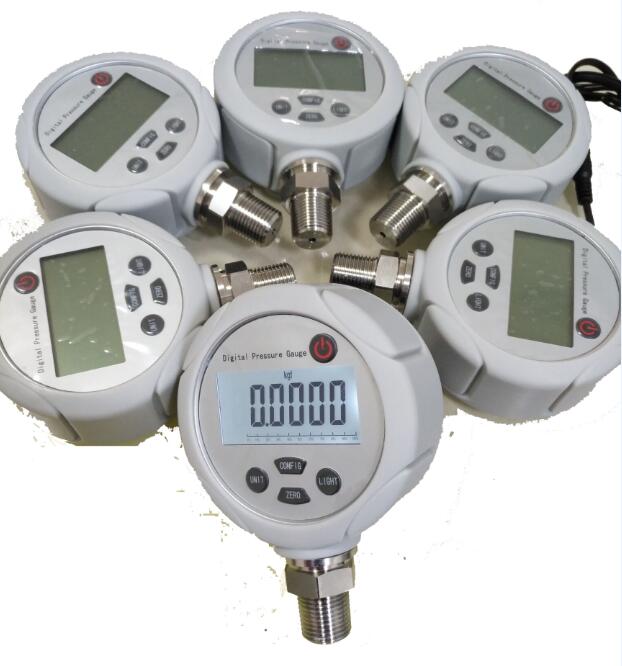 DPG100 Digital Pressure Gauge